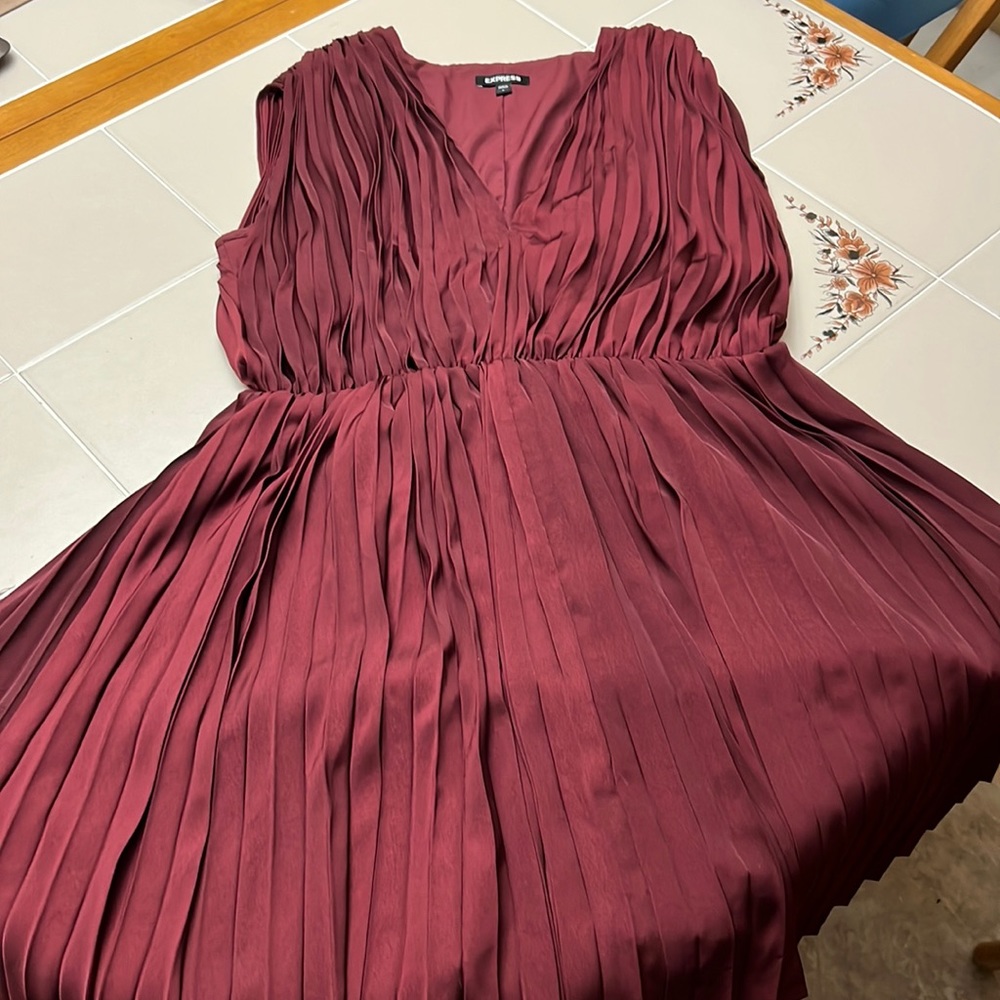 Express Pleated Dress with Capped Sleeves Dress Size Large